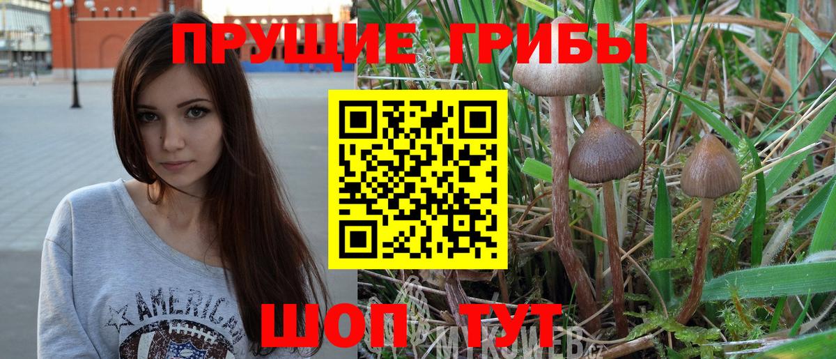 Железноводск  Галлюциногенные грибы мухоморы  Вход с VPN 